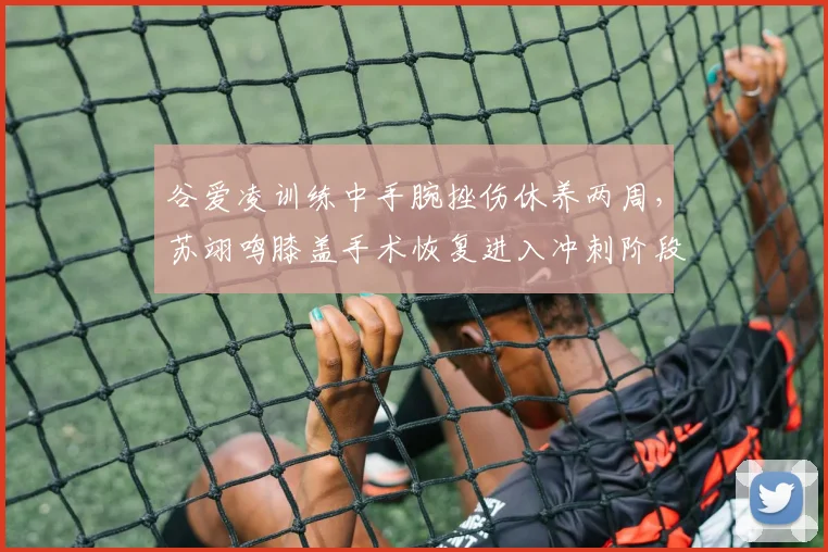 谷爱凌训练中手腕挫伤休养两周，苏翊鸣膝盖手术恢复进入冲刺阶段，冰雪双子星康复进度差异大